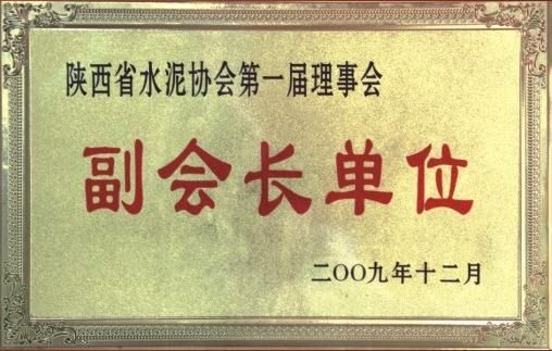 陜西省水泥協(xié)會(huì)第一屆理事會(huì)副會(huì)長(zhǎng)單位